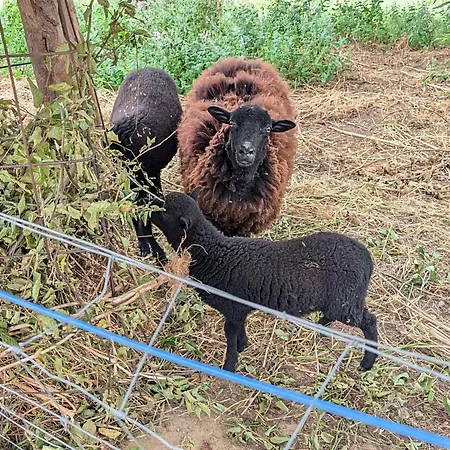 La Bougie Perlee 1 * Saint-Crépin-et-Carlucet