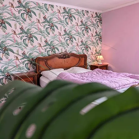 La Bougie Perlee 1 Holiday home *