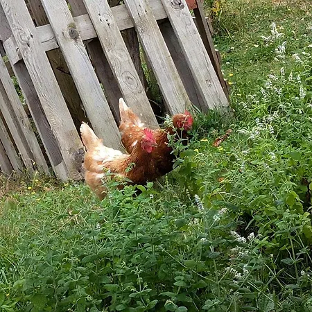 Semesterbostad La Bougie Perlee 1