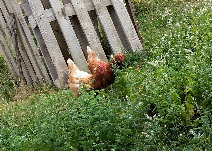 Сasa de vacaciones La Bougie Perlée 1